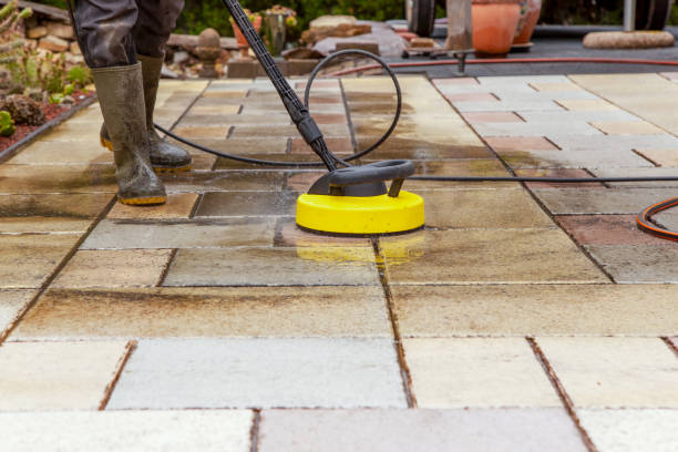 Best Oil Spill Cleanup  in South Monrovia Island, CA