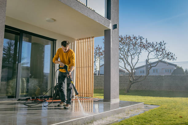 Best Dumpster Area Cleaning  in South Monrovia Island, CA